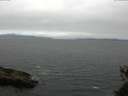 ./images/koeye/fitz-hugh/20150526/fitz-hugh20150526_122403.jpg