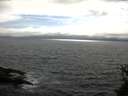 ./images/koeye/fitz-hugh/20150526/fitz-hugh20150526_170303.jpg