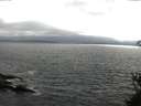./images/koeye/fitz-hugh/20150526/fitz-hugh20150526_180004.jpg
