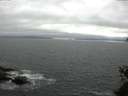 ./images/koeye/fitz-hugh/20150526/fitz-hugh20150526_183303.jpg