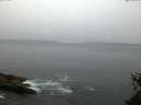 ./images/koeye/fitz-hugh/20150527/fitz-hugh20150527_050302.jpg