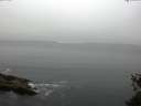 ./images/koeye/fitz-hugh/20150527/fitz-hugh20150527_060006.jpg