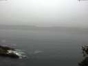 ./images/koeye/fitz-hugh/20150527/fitz-hugh20150527_060302.jpg