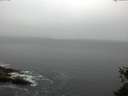 ./images/koeye/fitz-hugh/20150527/fitz-hugh20150527_063301.jpg