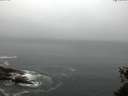 ./images/koeye/fitz-hugh/20150527/fitz-hugh20150527_070302.jpg