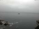 ./images/koeye/fitz-hugh/20150527/fitz-hugh20150527_073302.jpg