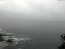 ./images/koeye/fitz-hugh/20150527/fitz-hugh20150527_080006.jpg