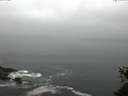 ./images/koeye/fitz-hugh/20150527/fitz-hugh20150527_083301.jpg