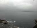 ./images/koeye/fitz-hugh/20150527/fitz-hugh20150527_093303.jpg