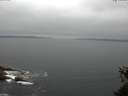 ./images/koeye/fitz-hugh/20150527/fitz-hugh20150527_100302.jpg