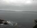 ./images/koeye/fitz-hugh/20150527/fitz-hugh20150527_103303.jpg