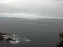 ./images/koeye/fitz-hugh/20150527/fitz-hugh20150527_110303.jpg
