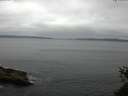 ./images/koeye/fitz-hugh/20150527/fitz-hugh20150527_121505.jpg