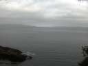 ./images/koeye/fitz-hugh/20150528/fitz-hugh20150528_050302.jpg