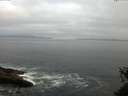 ./images/koeye/fitz-hugh/20150528/fitz-hugh20150528_060301.jpg