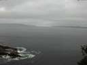 ./images/koeye/fitz-hugh/20150528/fitz-hugh20150528_080301.jpg