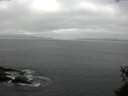 ./images/koeye/fitz-hugh/20150528/fitz-hugh20150528_083303.jpg
