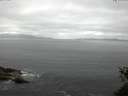./images/koeye/fitz-hugh/20150528/fitz-hugh20150528_090303.jpg