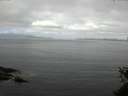 ./images/koeye/fitz-hugh/20150528/fitz-hugh20150528_093302.jpg