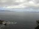./images/koeye/fitz-hugh/20150528/fitz-hugh20150528_100303.jpg