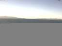 ./images/koeye/fitz-hugh/20150528/fitz-hugh20150528_123301.jpg