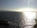 ./images/koeye/fitz-hugh/20150528/fitz-hugh20150528_180004.jpg