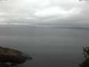 ./images/koeye/fitz-hugh/20150529/fitz-hugh20150529_050301.jpg