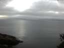 ./images/koeye/fitz-hugh/20150529/fitz-hugh20150529_053302.jpg