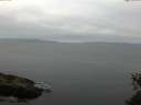./images/koeye/fitz-hugh/20150529/fitz-hugh20150529_063302.jpg