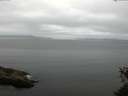 ./images/koeye/fitz-hugh/20150529/fitz-hugh20150529_073301.jpg