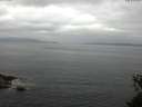 ./images/koeye/fitz-hugh/20150529/fitz-hugh20150529_103303.jpg