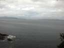./images/koeye/fitz-hugh/20150529/fitz-hugh20150529_110303.jpg