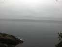 ./images/koeye/fitz-hugh/20150530/fitz-hugh20150530_053302.jpg