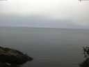 ./images/koeye/fitz-hugh/20150530/fitz-hugh20150530_060008.jpg