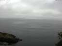 ./images/koeye/fitz-hugh/20150530/fitz-hugh20150530_073302.jpg