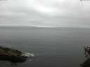 ./images/koeye/fitz-hugh/20150530/fitz-hugh20150530_080301.jpg