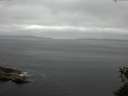 ./images/koeye/fitz-hugh/20150530/fitz-hugh20150530_100303.jpg
