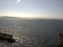 ./images/koeye/fitz-hugh/20150530/fitz-hugh20150530_153302.jpg