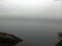./images/koeye/fitz-hugh/20150531/fitz-hugh20150531_063302.jpg
