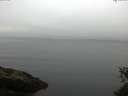 ./images/koeye/fitz-hugh/20150531/fitz-hugh20150531_070302.jpg