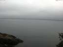./images/koeye/fitz-hugh/20150531/fitz-hugh20150531_073302.jpg