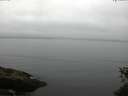 ./images/koeye/fitz-hugh/20150531/fitz-hugh20150531_080006.jpg