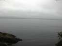 ./images/koeye/fitz-hugh/20150531/fitz-hugh20150531_080301.jpg
