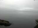 ./images/koeye/fitz-hugh/20150531/fitz-hugh20150531_090302.jpg