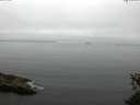 ./images/koeye/fitz-hugh/20150531/fitz-hugh20150531_093302.jpg