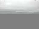 ./images/koeye/fitz-hugh/20150531/fitz-hugh20150531_100302.jpg