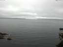 ./images/koeye/fitz-hugh/20150531/fitz-hugh20150531_113303.jpg