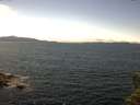./images/koeye/fitz-hugh/20150531/fitz-hugh20150531_140003.jpg