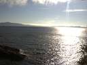./images/koeye/fitz-hugh/20150531/fitz-hugh20150531_180003.jpg