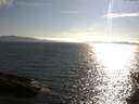 ./images/koeye/fitz-hugh/20150531/fitz-hugh20150531_180302.jpg